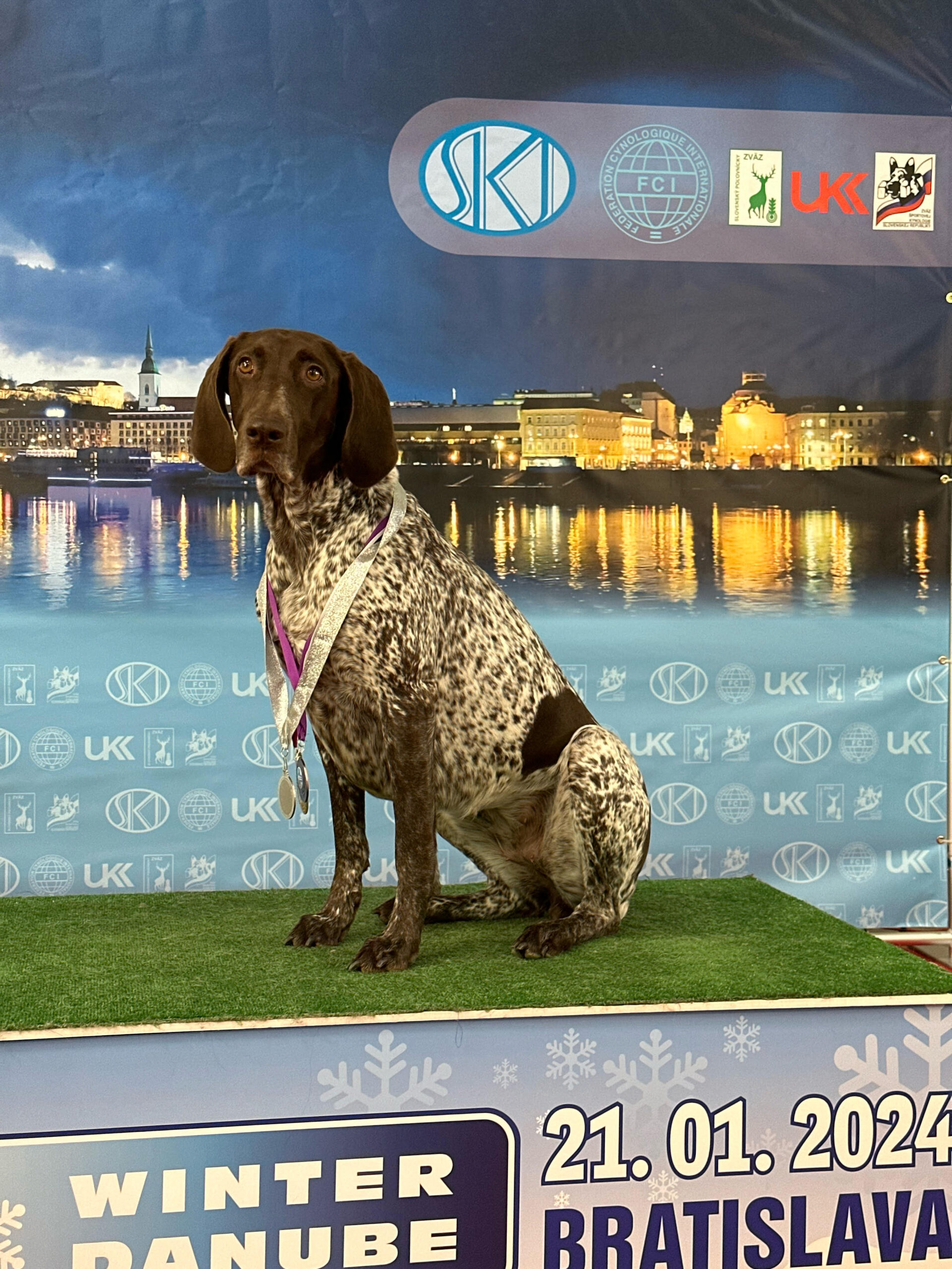 Arya Bohemia Jewellery – Obrázok 2