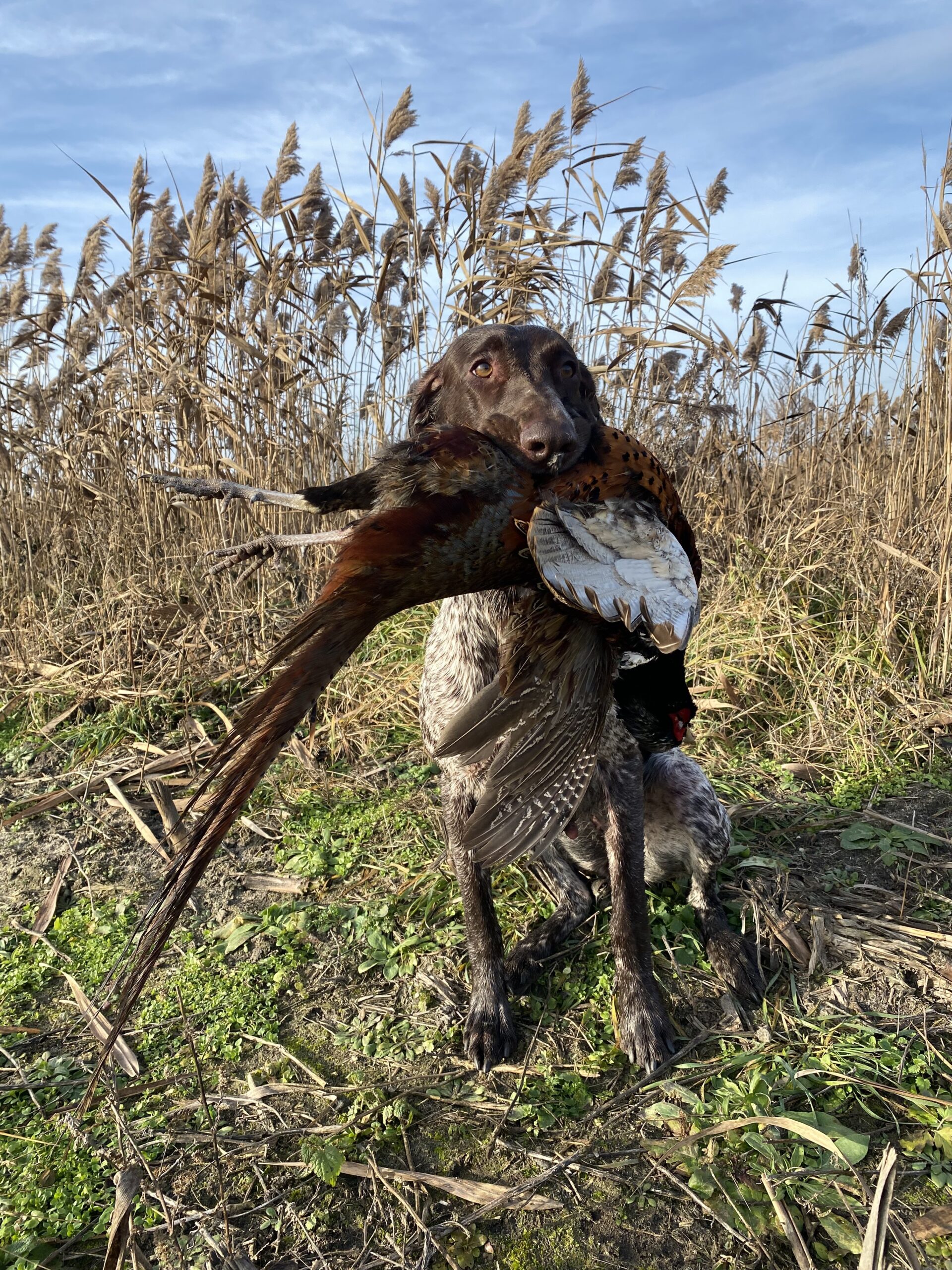 Arya Bohemia Jewellery – Obrázok 6