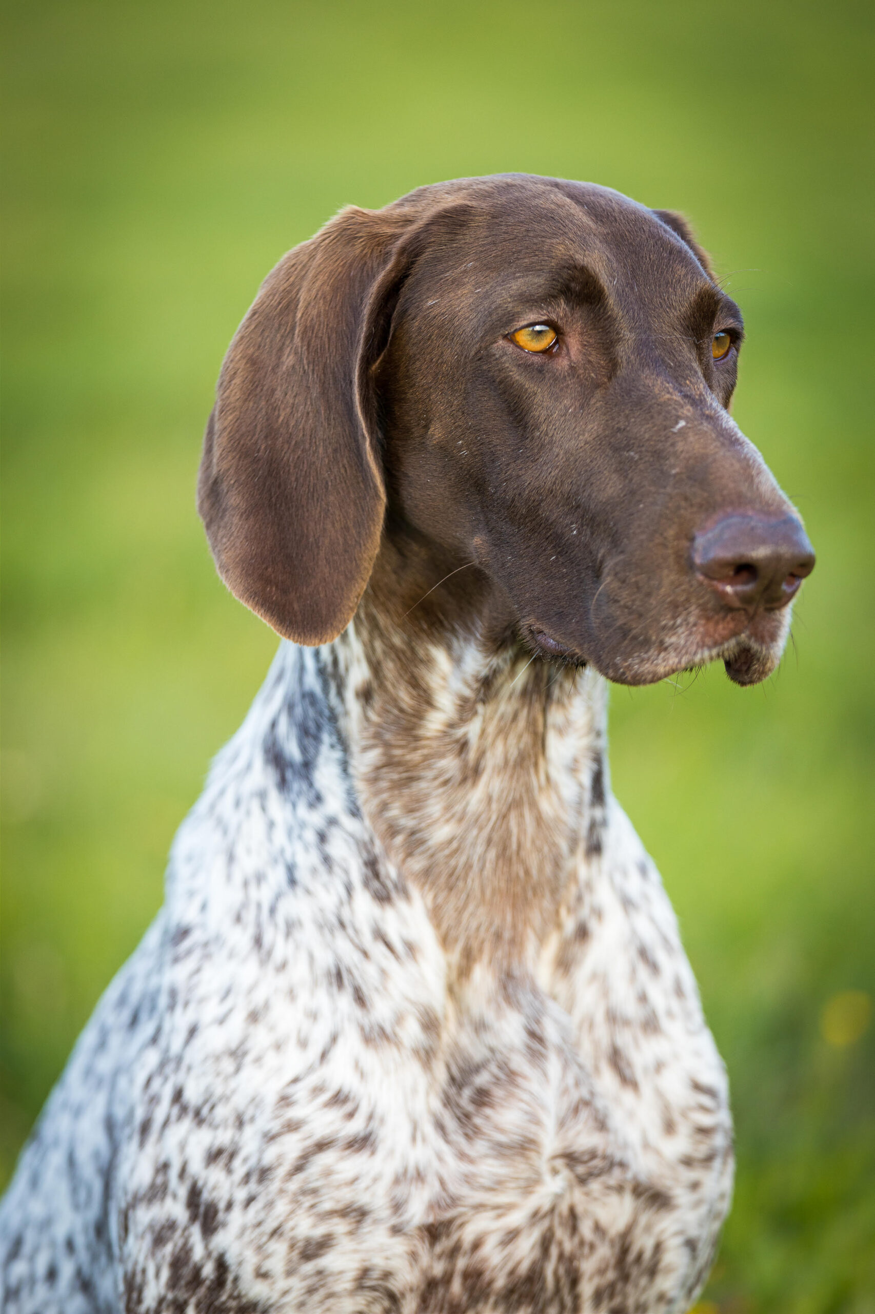 Arya Bohemia Jewellery – Obrázok 4