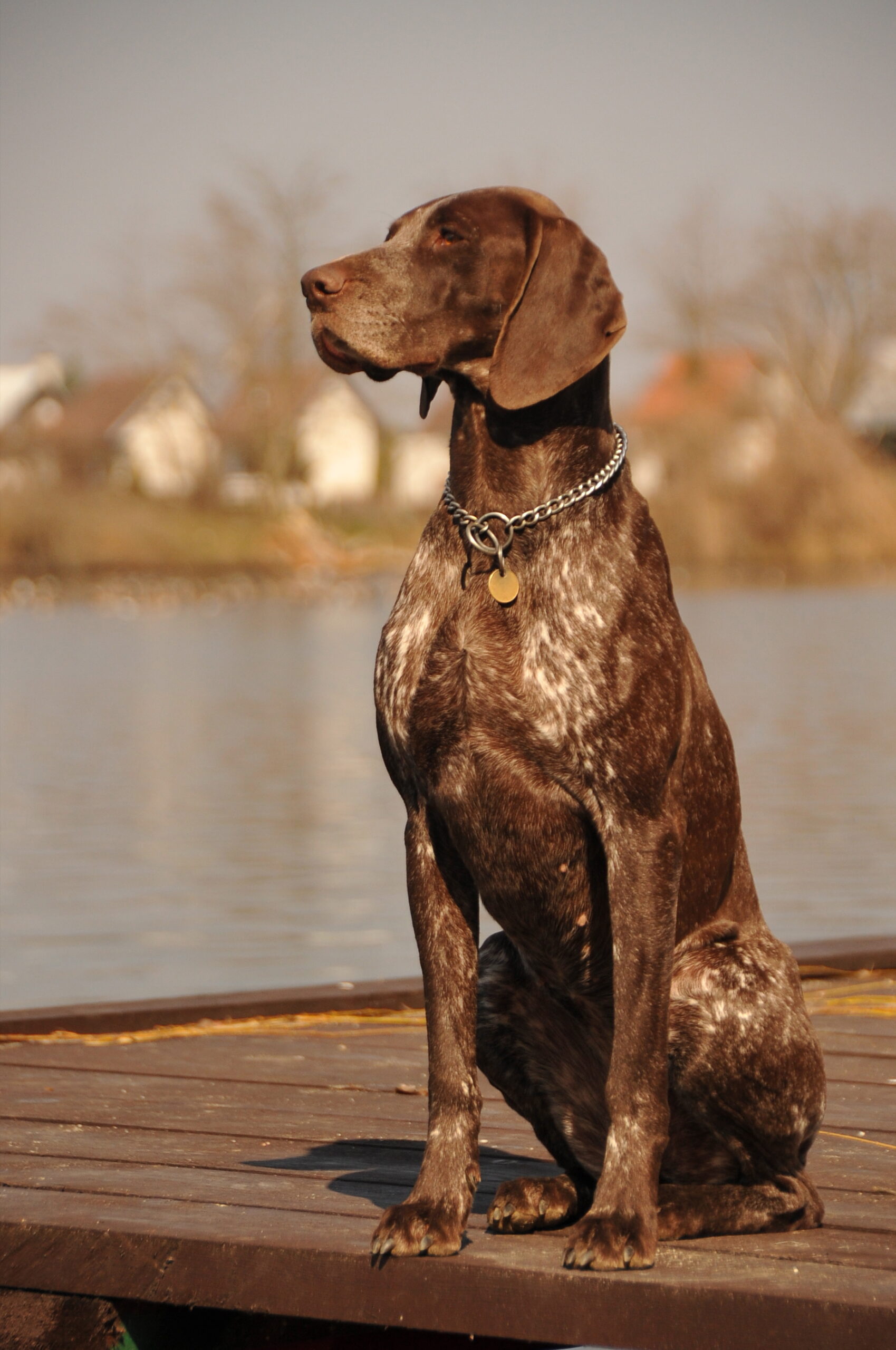 Pola z Vápenek – Obrázok 4