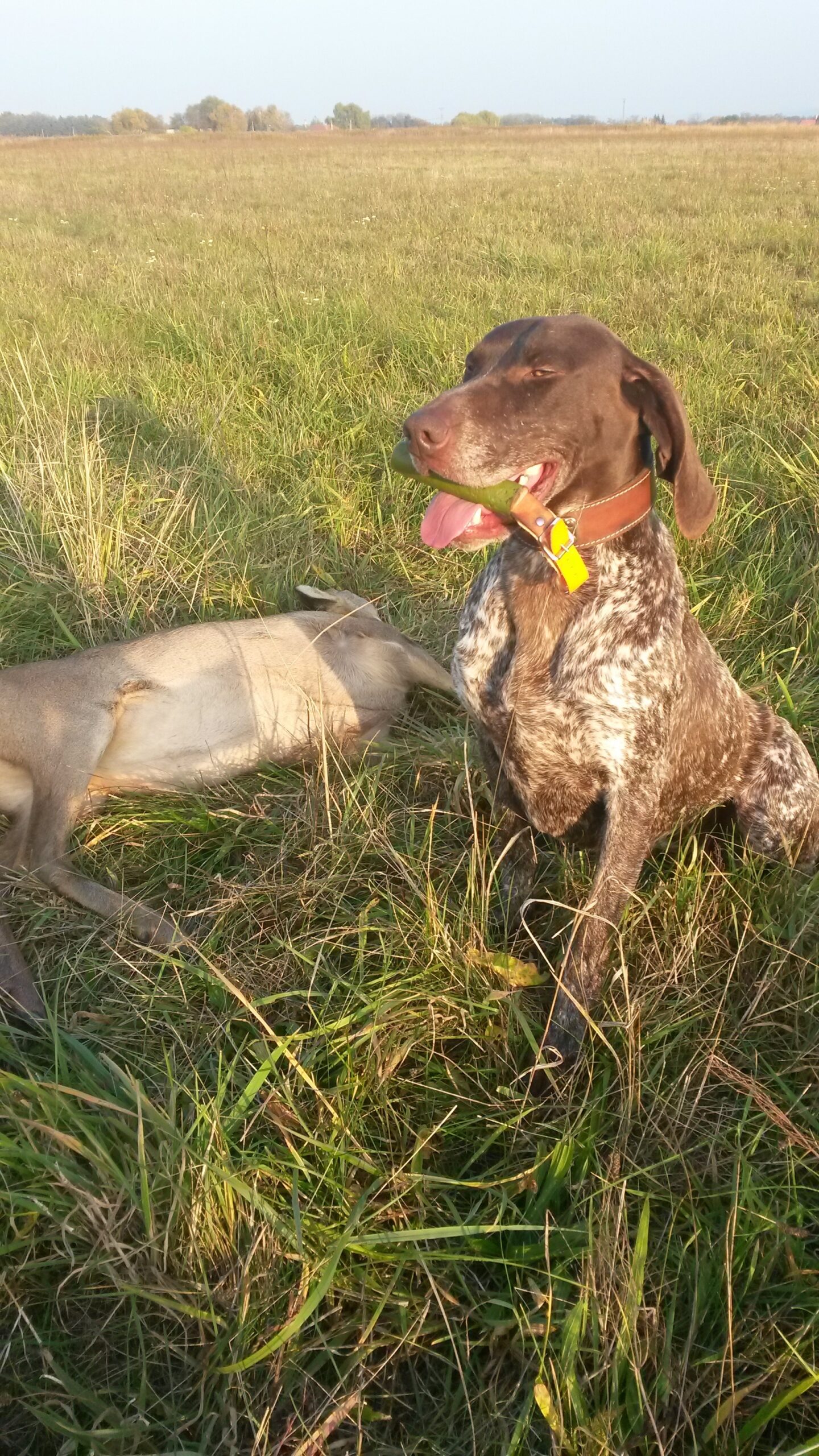 Bonnie od Struhy – Obrázok 2